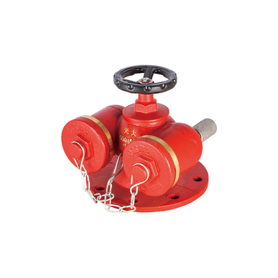 SQD100/150-1.6 多用式消防水泵接合器