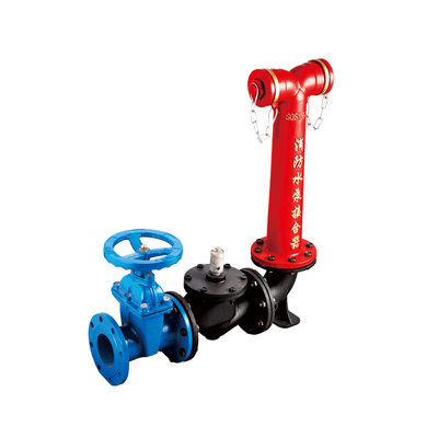 1 SQS100-1.6 地上式消防水泵接合器