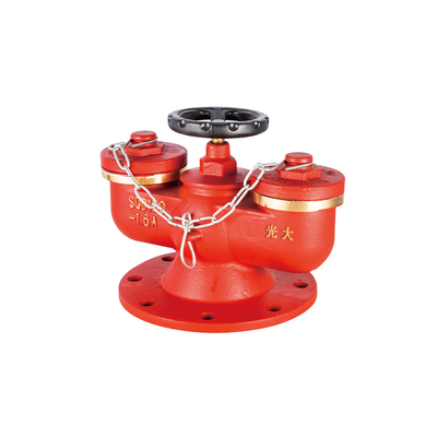 SQD100/150-1.6A 多用式消防水泵接合器